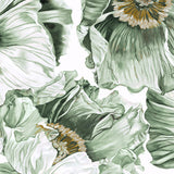 Cortona Floral IV Small (465mm W x 560mm H) / Standard Clear Glass