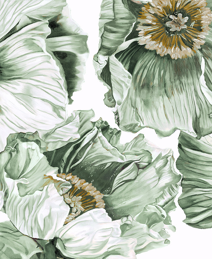 Cortona Floral IV