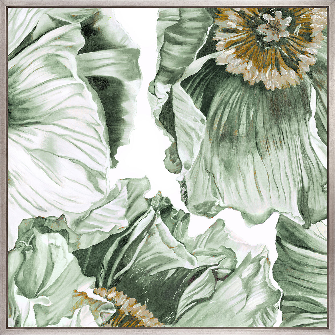 Cortona Floral VI (Canvas)