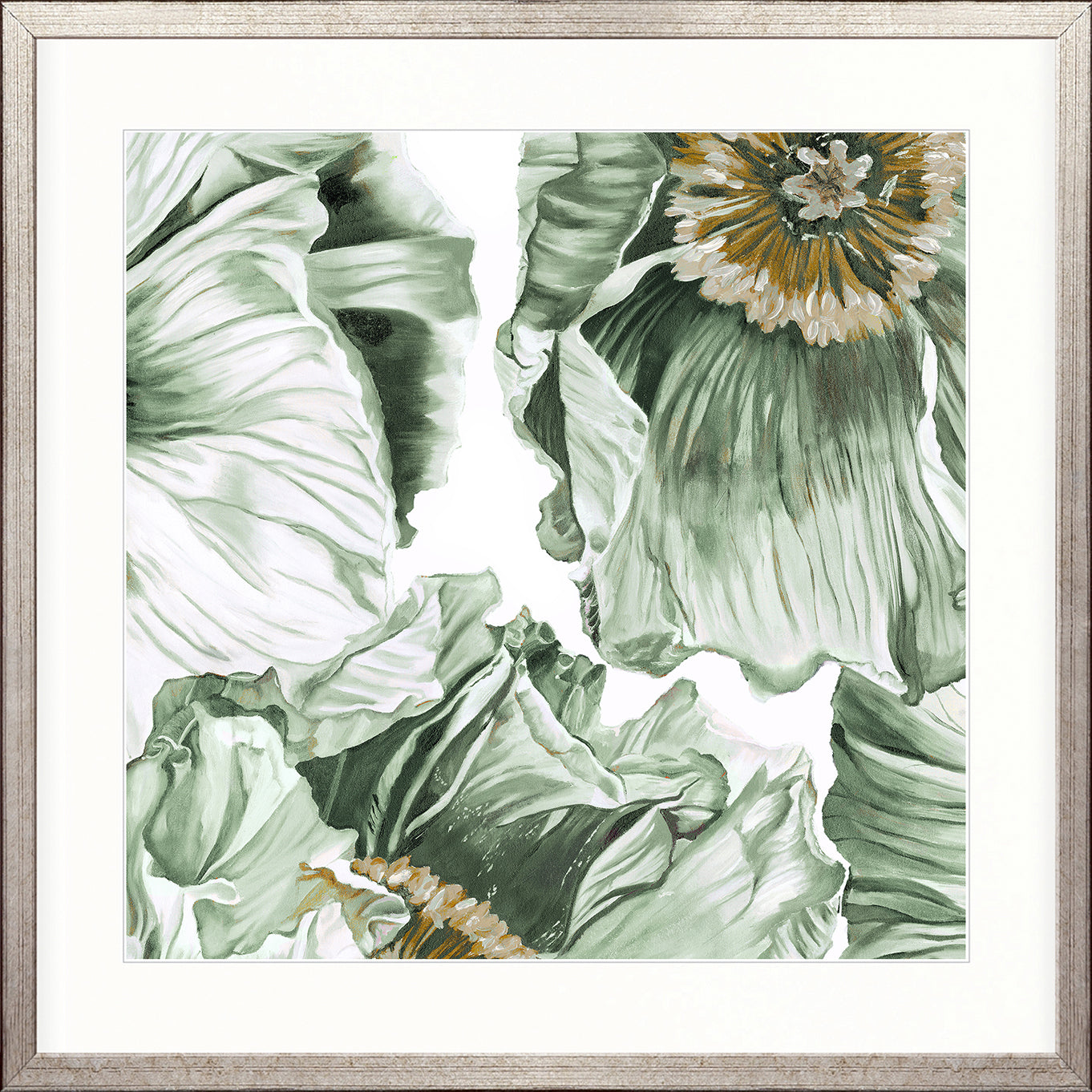 Cortona Floral VI