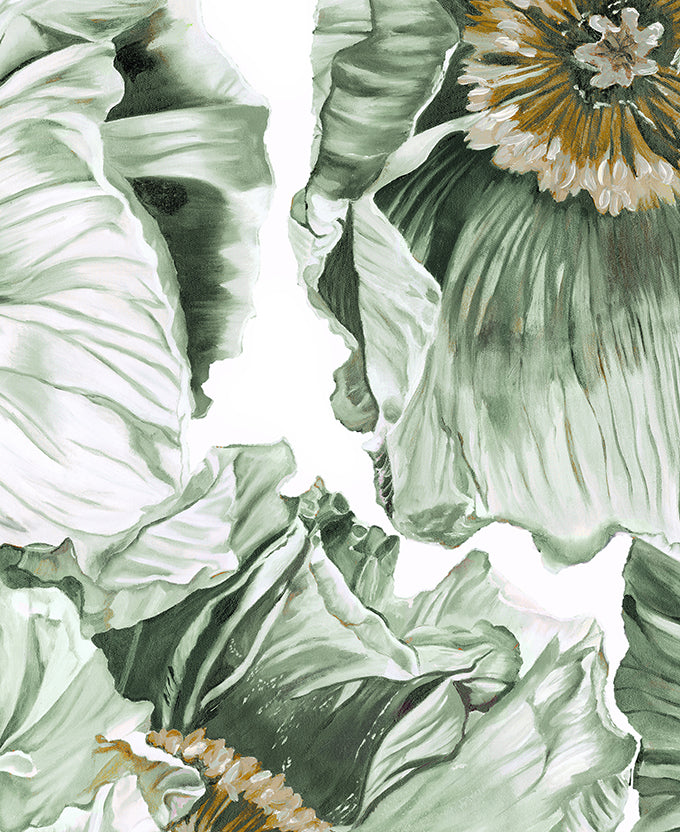 Cortona Floral VI