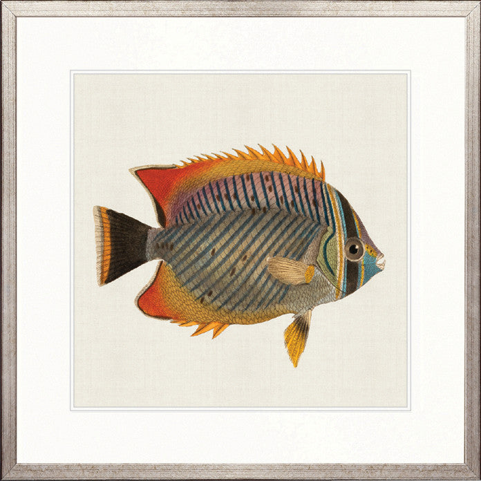 Colourful Fish I