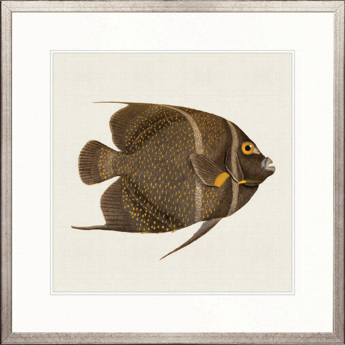 Colourful Fish III