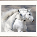 Majestic Thoroughbred IX