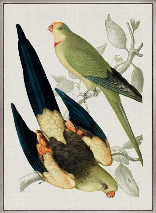 Birds in Paradise I (Canvas)