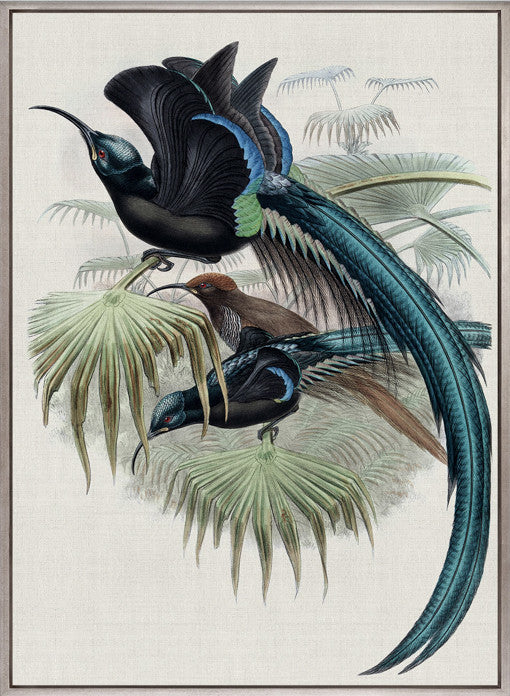 Birds in Paradise II (Canvas)