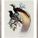 Birds in Paradise IV