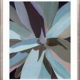 Del Mar Tropic II