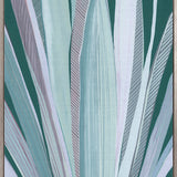 Del Mar Tropic IV (Canvas)