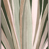 Del Mar Tropic V (Canvas)