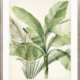 Exquisite Palm I