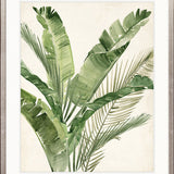 Exquisite Palm III