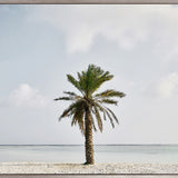 Paradisi III (Canvas) Large (1109mm W x 903mm H)