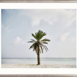 Paradisi III Small (560mm W x 465mm H) / Standard Clear Glass