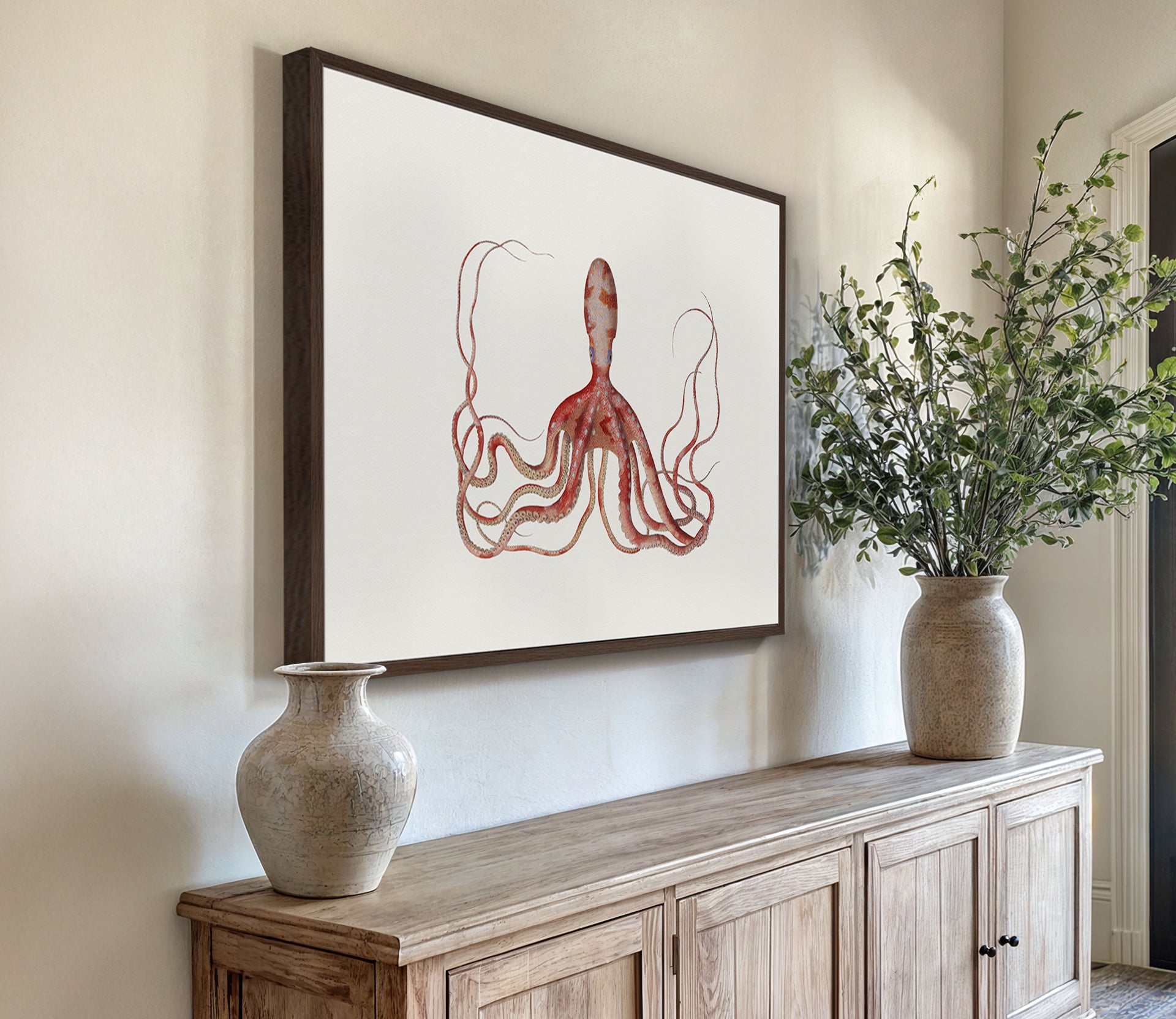 D'Orbigny Marine Collection
