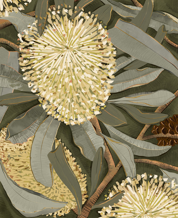 Dryandra Grove I