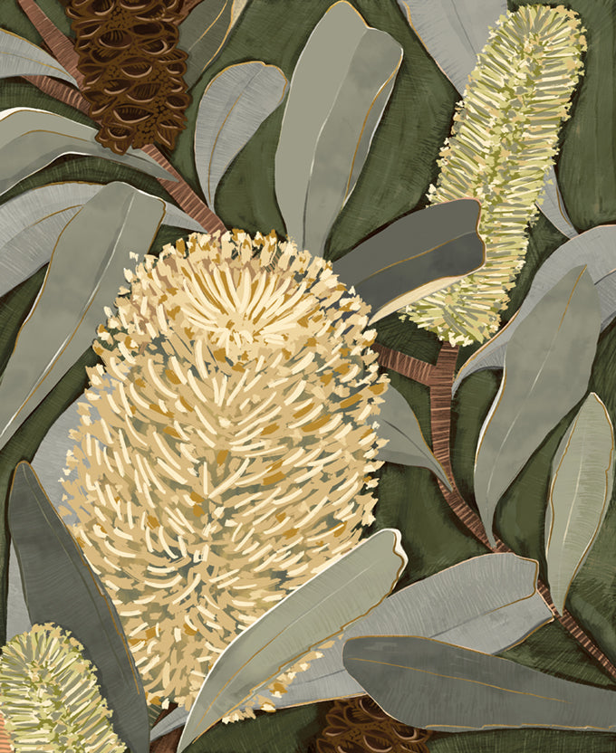 Dryandra Grove I (Canvas)