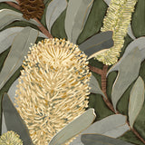 Dryandra Grove I X-Large (1000mm W x 1400mm H) / Clear Acrylic