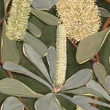 Dryandra Grove I X-Large (1000mm W x 1400mm H) / Clear Acrylic