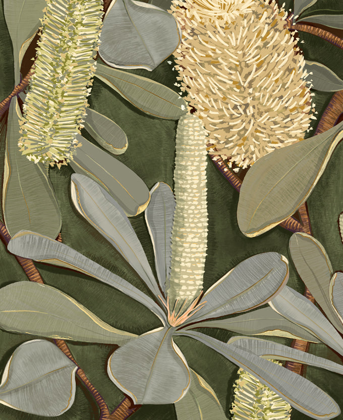 Dryandra Grove I