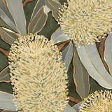 Dryandra Grove I (Canvas) Large (903mm W x 1109mm H)