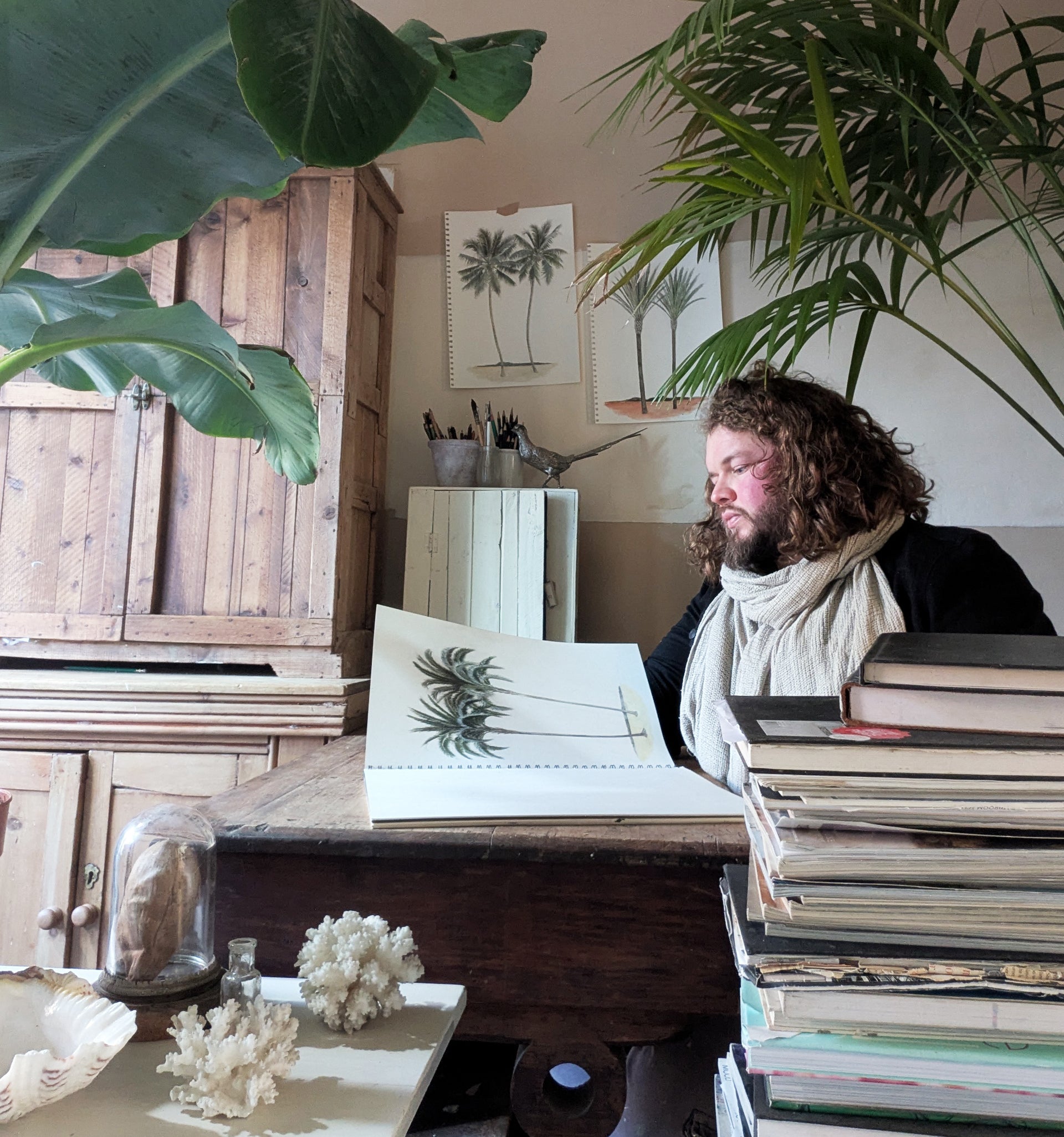 Marsielle Palm Collection