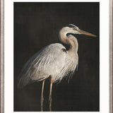 East Hampton Heron II