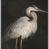East Hampton Heron II (Canvas)