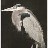 East Hampton Heron III (Canvas)