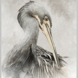 East Hampton Heron IV(Canvas)