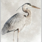 East Hampton Heron V (Canvas)