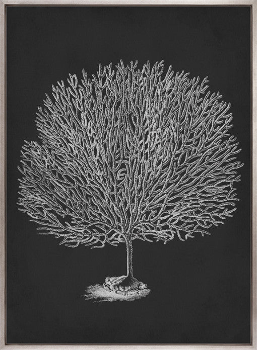Curious Coral Delight I (Canvas)