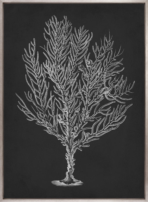 Curious Coral Delight IV (Canvas)