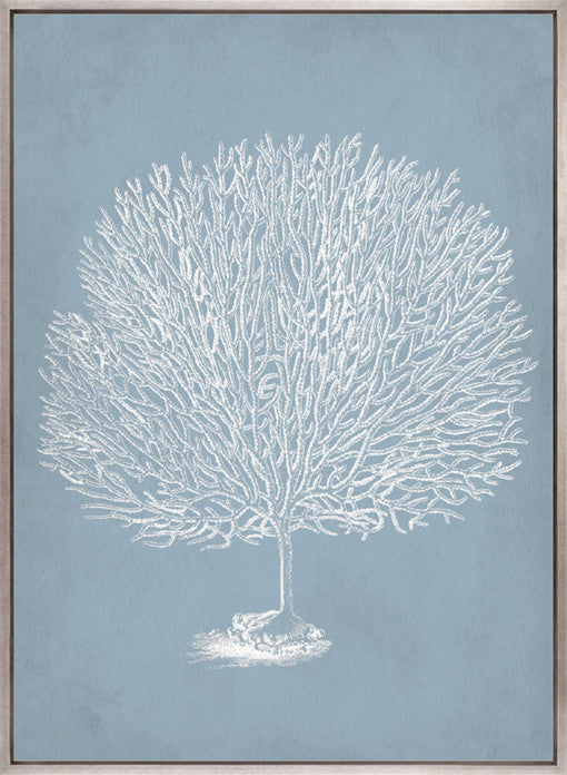 Curious Coral Delight VII (Canvas)