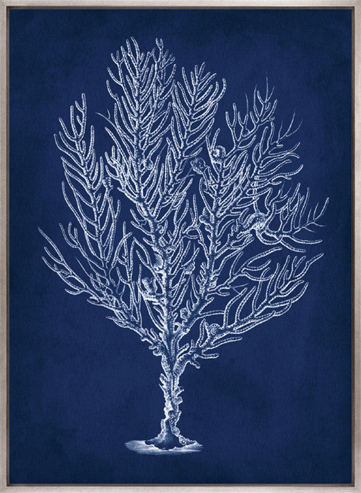 Curious Coral Delight VIII (Canvas)