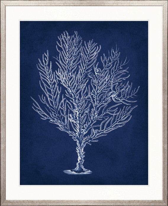 Curious Coral Delight VIII