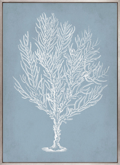 Curious Coral Delight IX (Canvas)