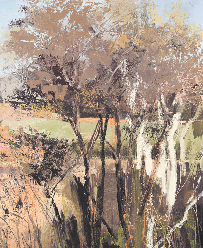 Elowen Highlands X (Canvas)