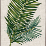 Tropical Evergreen I (Canvas) Large (903mm W x 1109mm H)