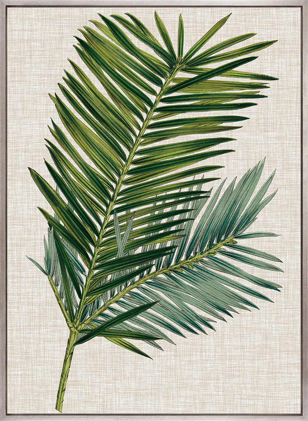 Tropical Evergreen I (Canvas)