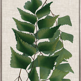 Tropical Evergreen II (Canvas) Large (903mm W x 1109mm H)