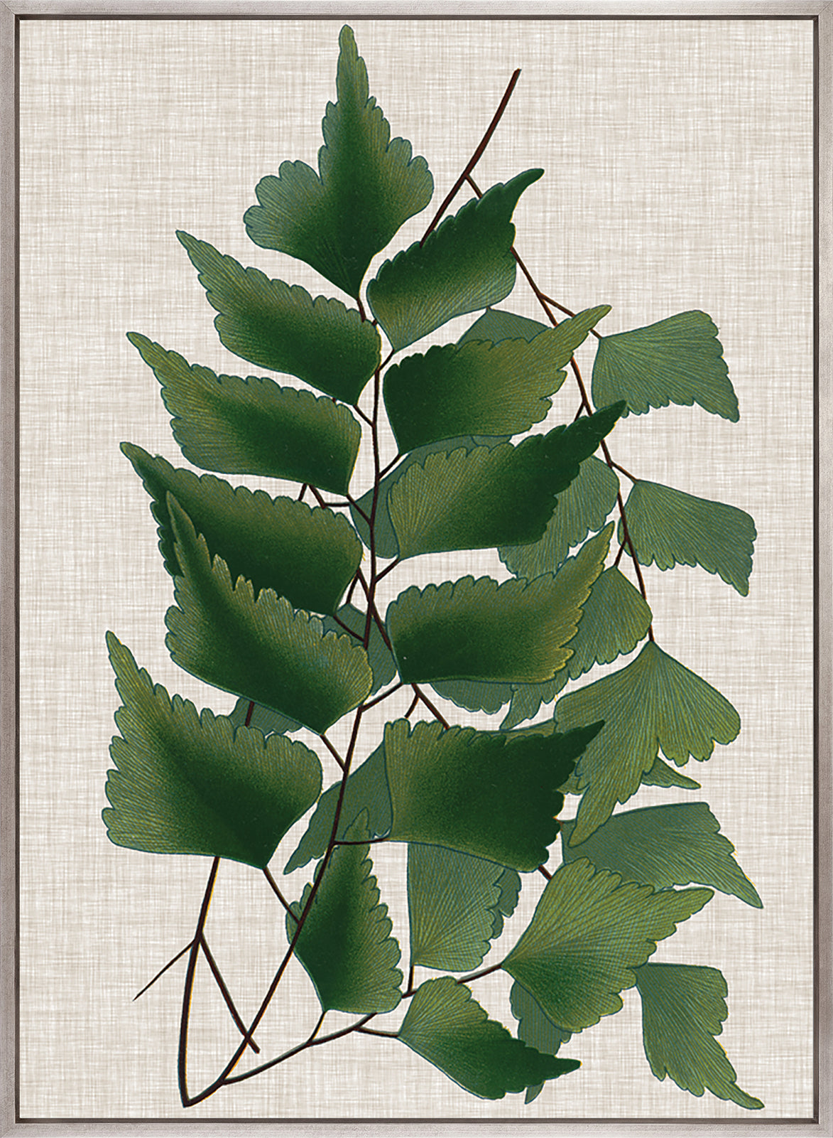 Tropical Evergreen II (Canvas)