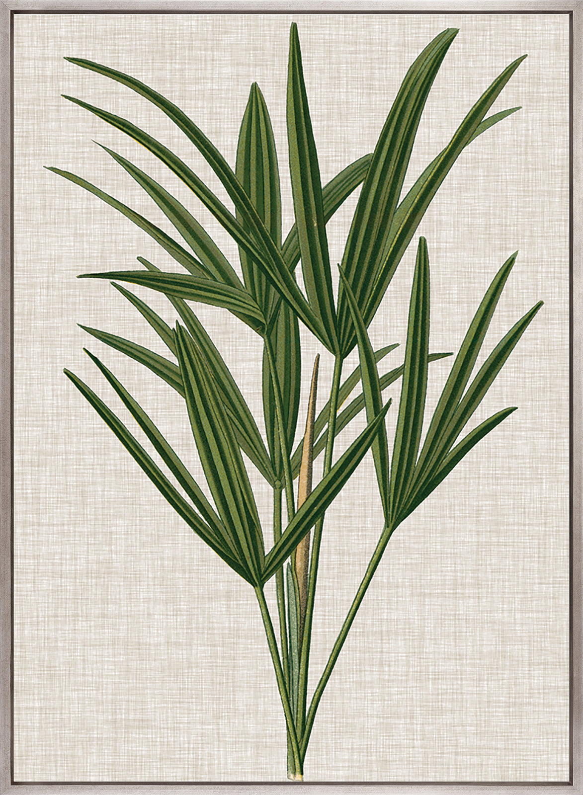 Tropical Evergreen III (Canvas)