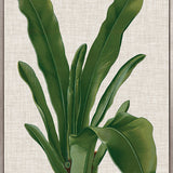 Tropical Evergreen IV (Canvas) Large (903mm W x 1109mm H)