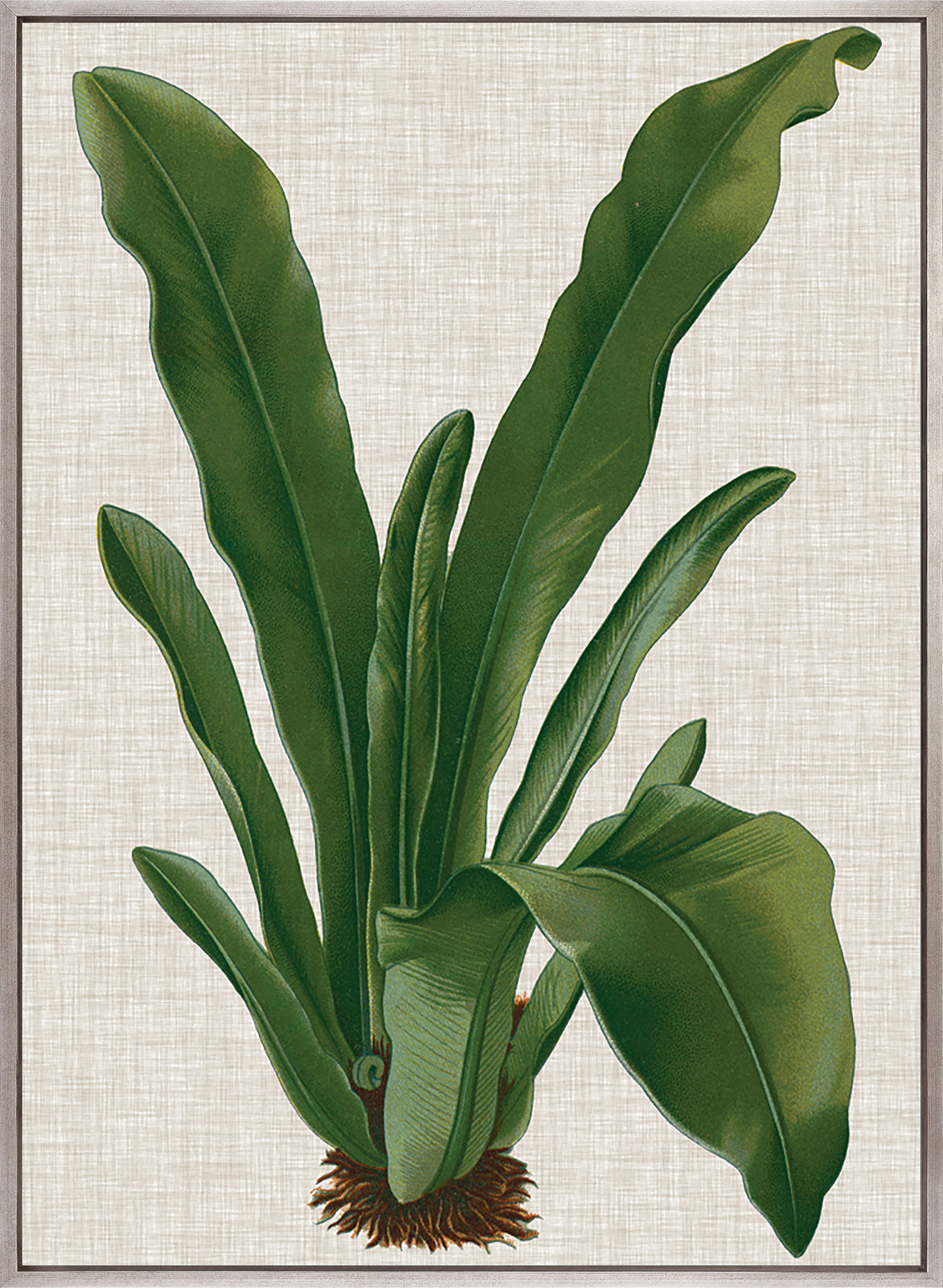 Tropical Evergreen IV (Canvas)