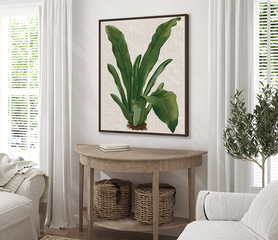 Tropical Evergreen IV (Canvas)