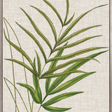 Tropical Evergreen V (Canvas) Large (903mm W x 1109mm H)