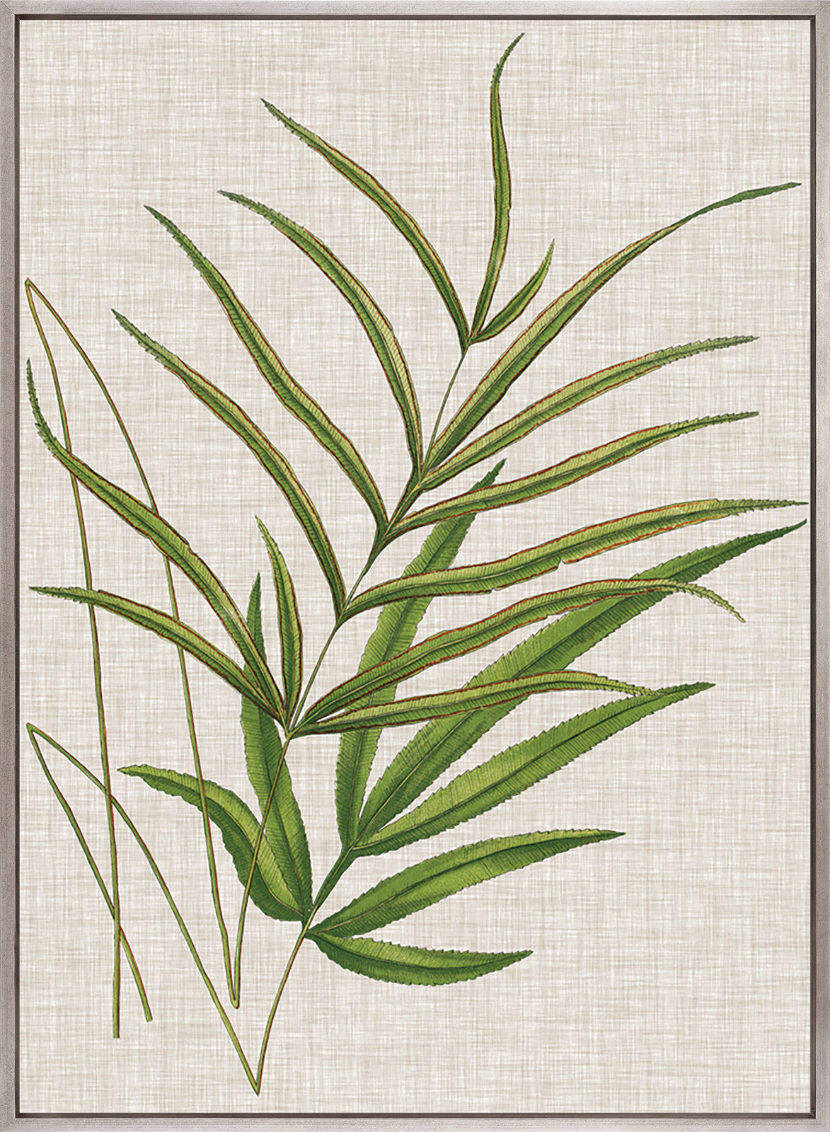 Tropical Evergreen V (Canvas)