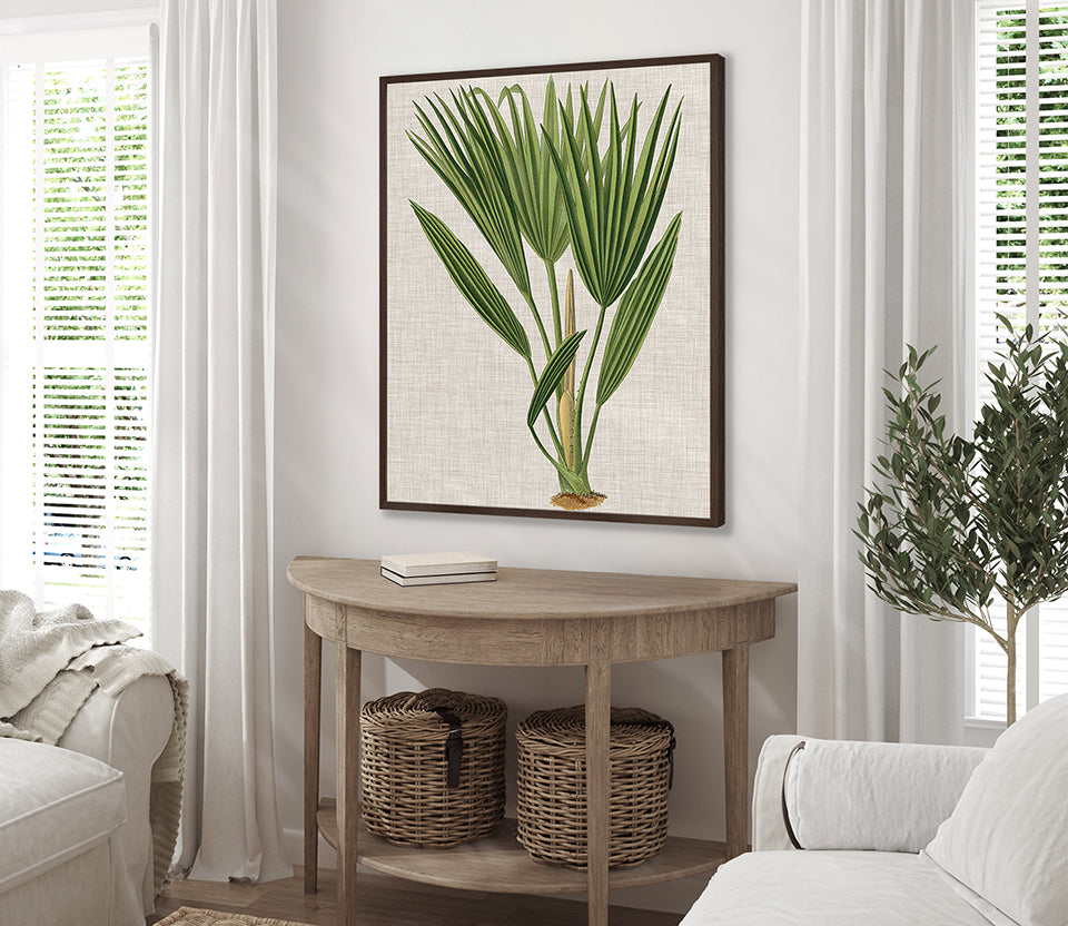 Tropical Evergreen VI (Canvas)