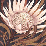 Ember Floral I Small (465mm W x 560mm H) / Standard Clear Glass